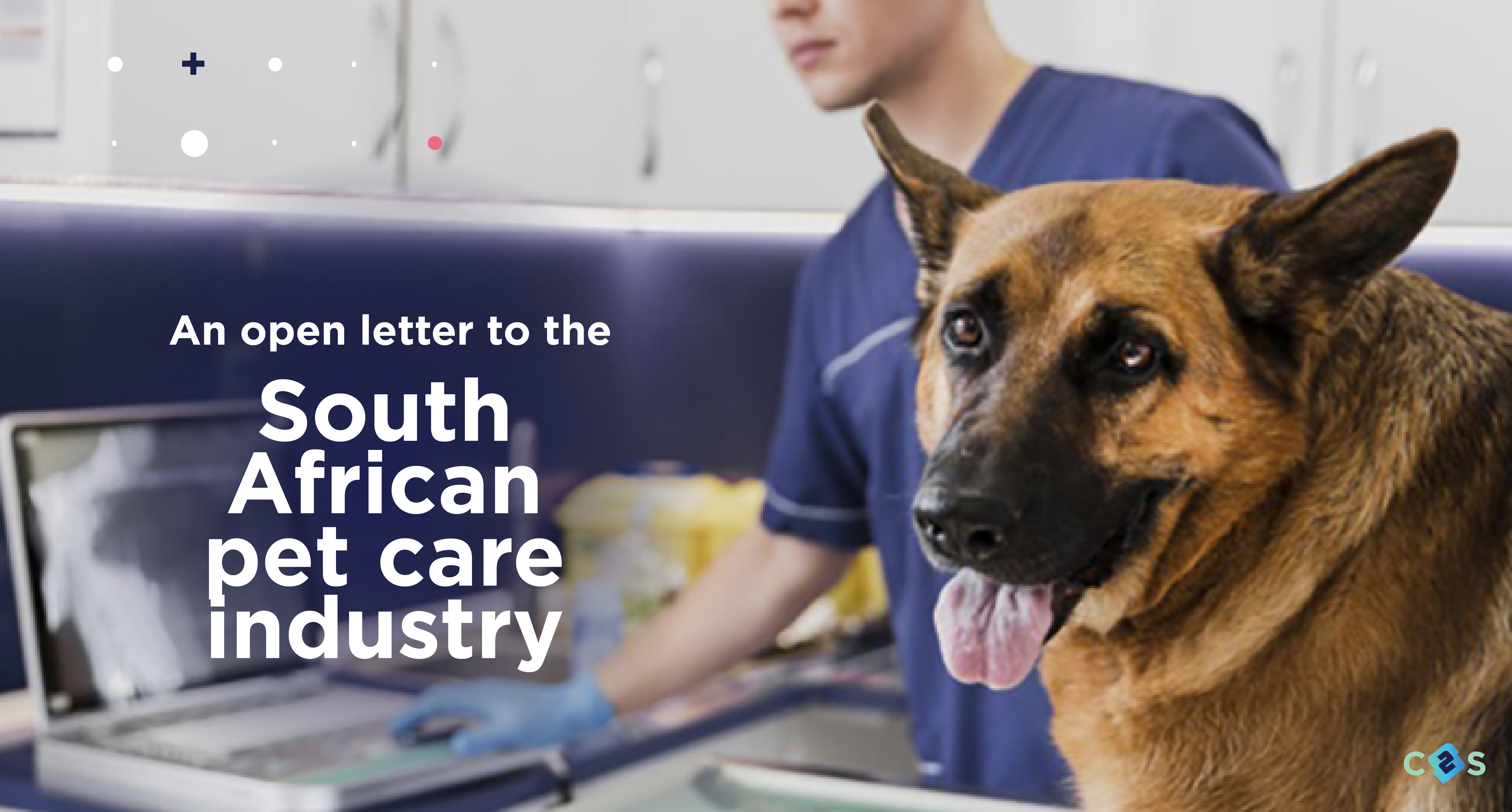 , Our Team, Click2Sure